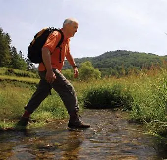 Hotel-restaurant Dimmer - Mullerthal