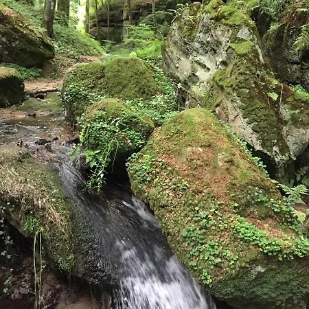 Hotel-restaurant Dimmer Wallendorf-Pont