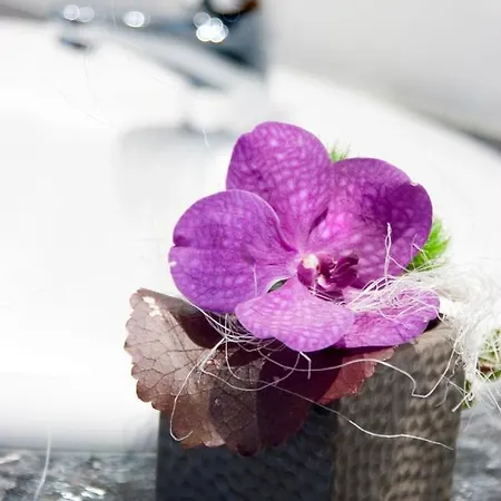 Otel Hotel-restaurant Dimmer - Mullerthal 4*