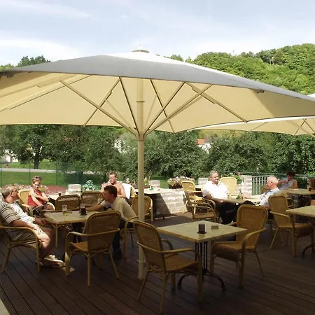 Отель Logis Hotel-restaurant Dimmer 4*