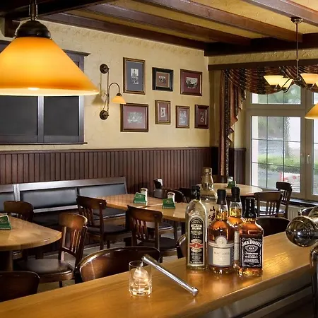 Отель Logis Hotel-restaurant Dimmer