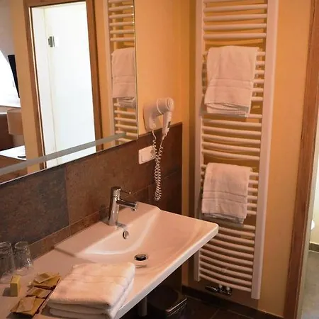 Отель Logis Hotel-restaurant Dimmer 4*