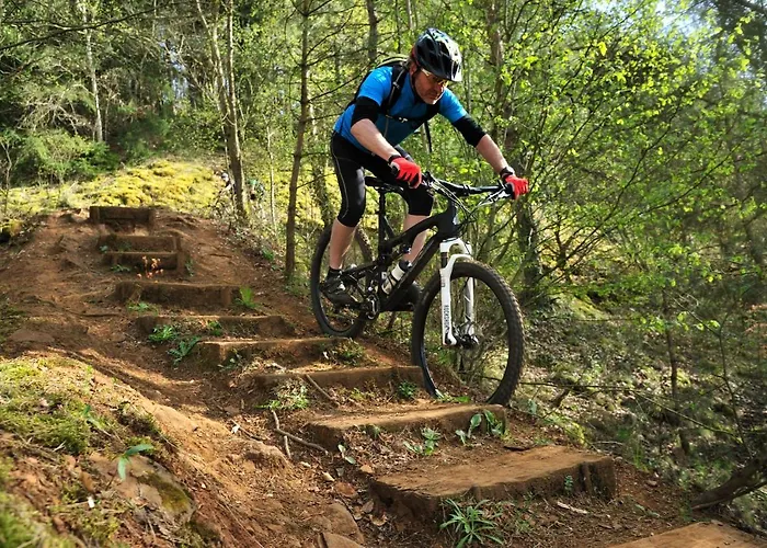 Hotel-restaurant Dimmer Hotel 4*