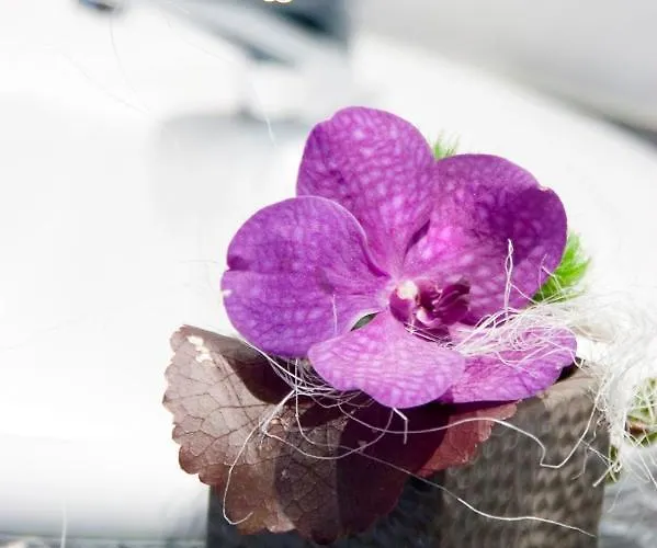 מלון Hotel-restaurant Dimmer - Mullerthal 4*